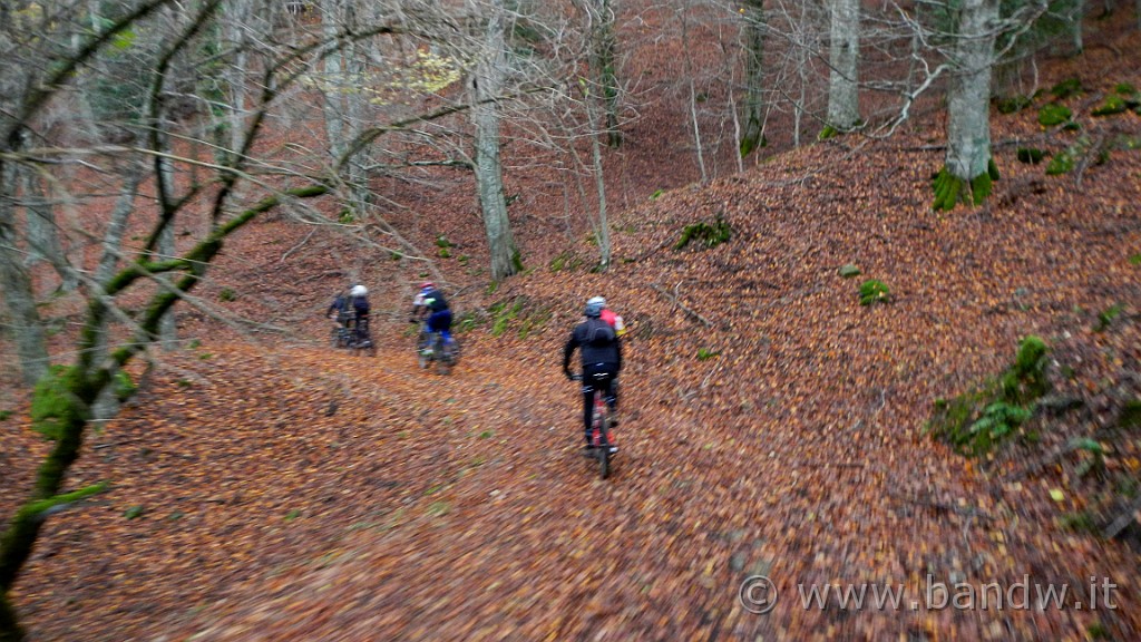DSCN6009.JPG -                                