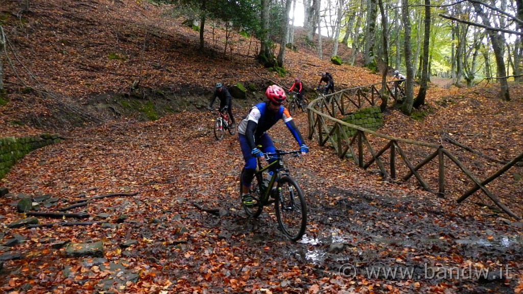 DSCN6028.JPG -                                