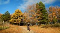 DSCN5929
