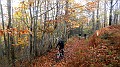 DSCN5939