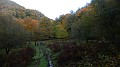 DSCN5971