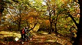 DSCN5995