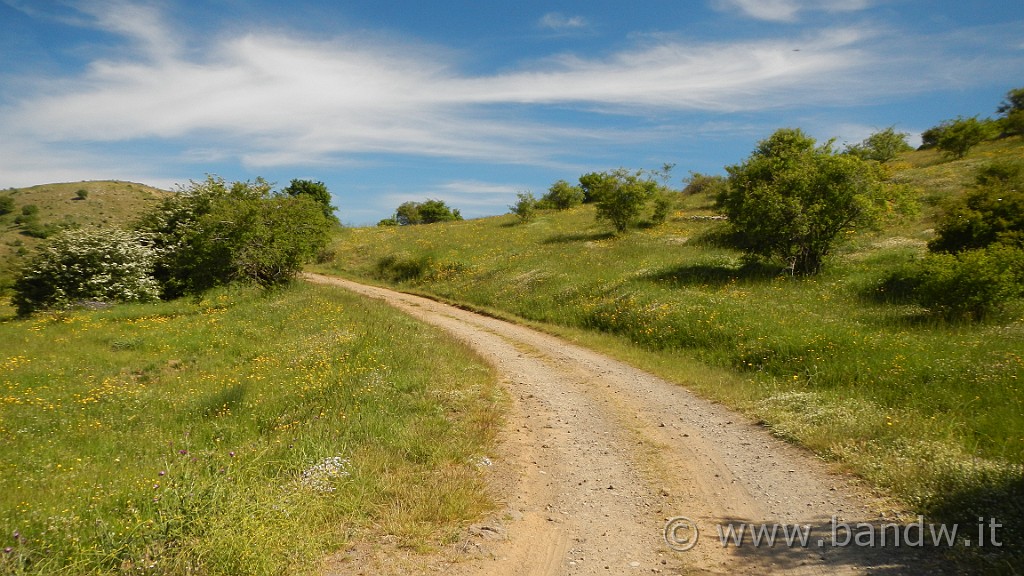 DSCN1083.JPG -                                