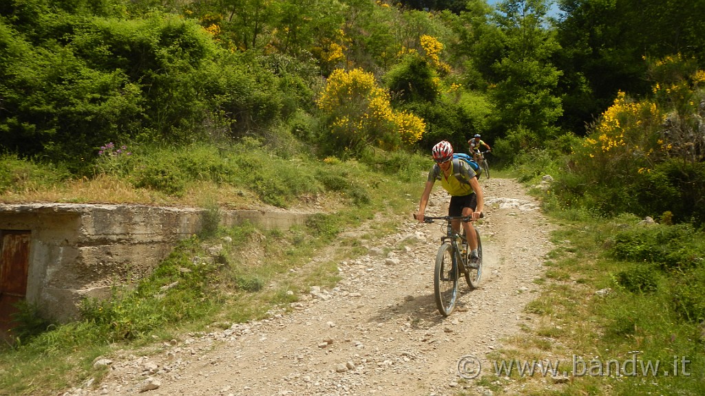 DSCN1090.JPG -                                