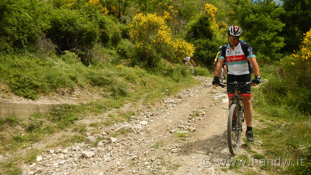 DSCN1091.JPG -                                