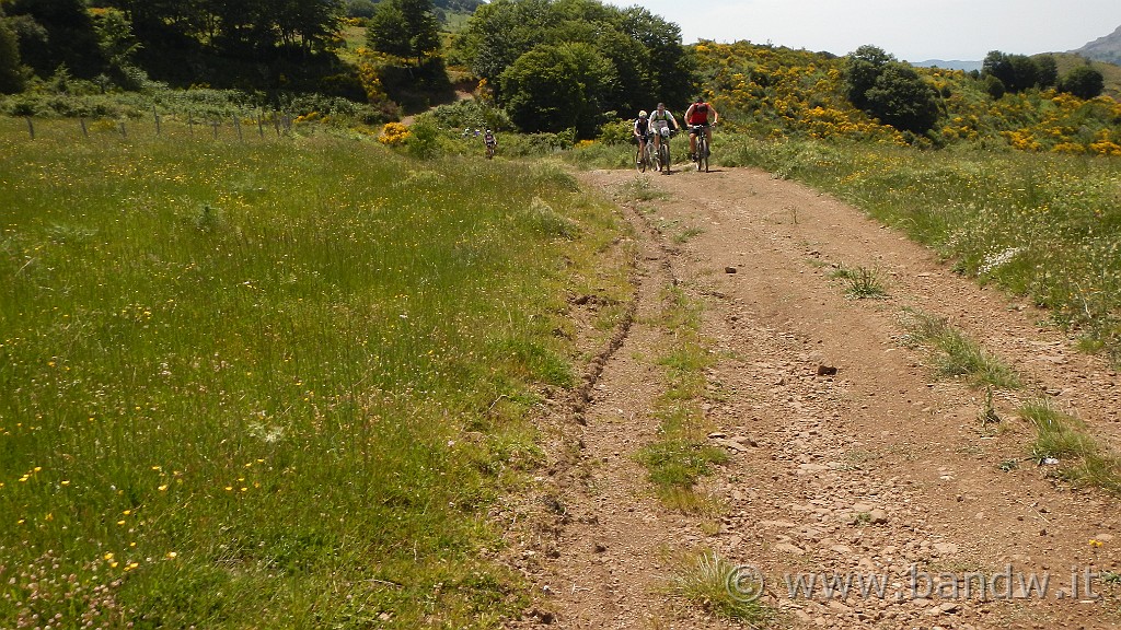 DSCN1102.JPG -                                