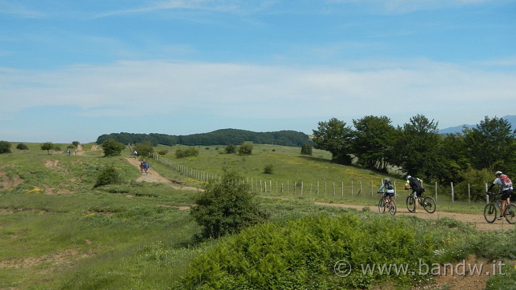 DSCN1108.JPG -                                