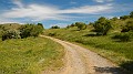 DSCN1083