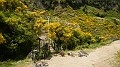 DSCN1093