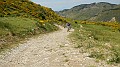 DSCN1099