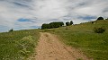 DSCN1101
