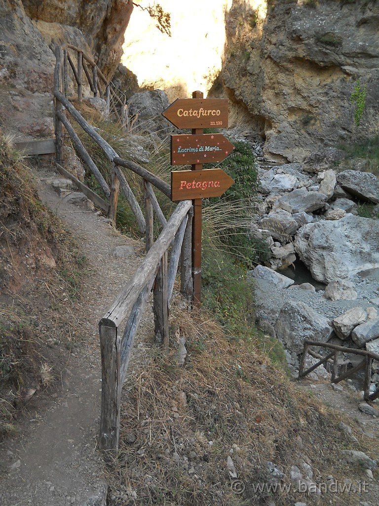 DSCN6370.JPG - Imbocchiamo il sentiero ed andiamo a sinistra