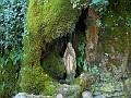 DSCN6382