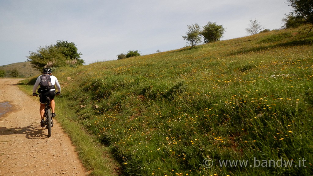 DSCN9354.JPG -                                