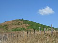 DSCN5886