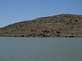 DSCN5893