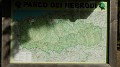 DSCN9893