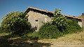 DSCN9905