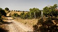 DSCN9909