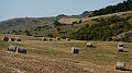 DSCN9911