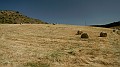 DSCN9913