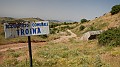 DSCN9917