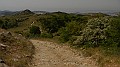 DSCN9923