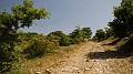 DSCN9924