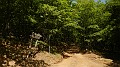 DSCN9927