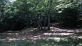 DSCN9929