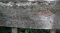 DSCN9936