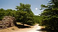 DSCN9946