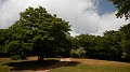 DSCN9964