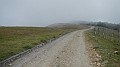 DSCN9966
