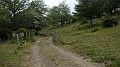 DSCN9980
