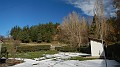 DSCN6533