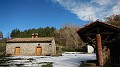 DSCN6535