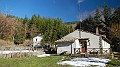 DSCN6542