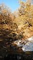 DSCN6549