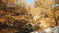 DSCN6550