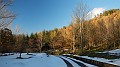 DSCN6551