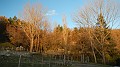 DSCN6552