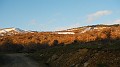 DSCN6553