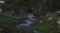 DSCN6575