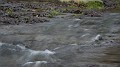 DSCN6577