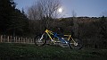 DSCN6591