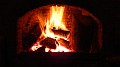 DSCN6595