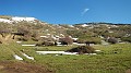 DSCN6605