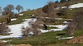 DSCN6611