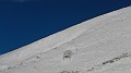 DSCN6639